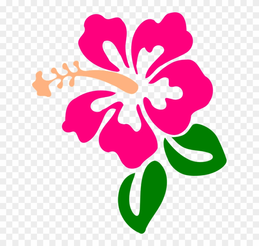 Hawaiian Flower Vector Png Hawaiian Flower Clipart Hibiscus Flower | My ...