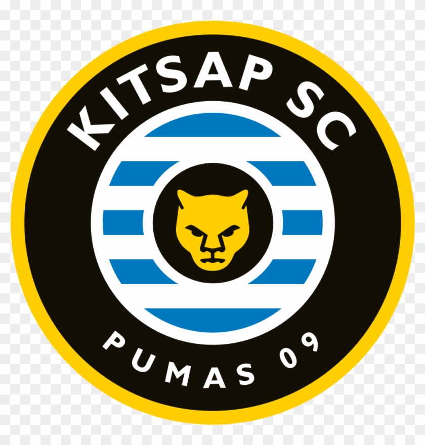 puma soccer logo