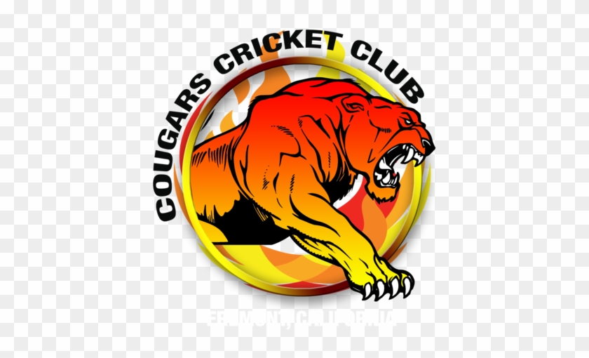 puma cricket logo