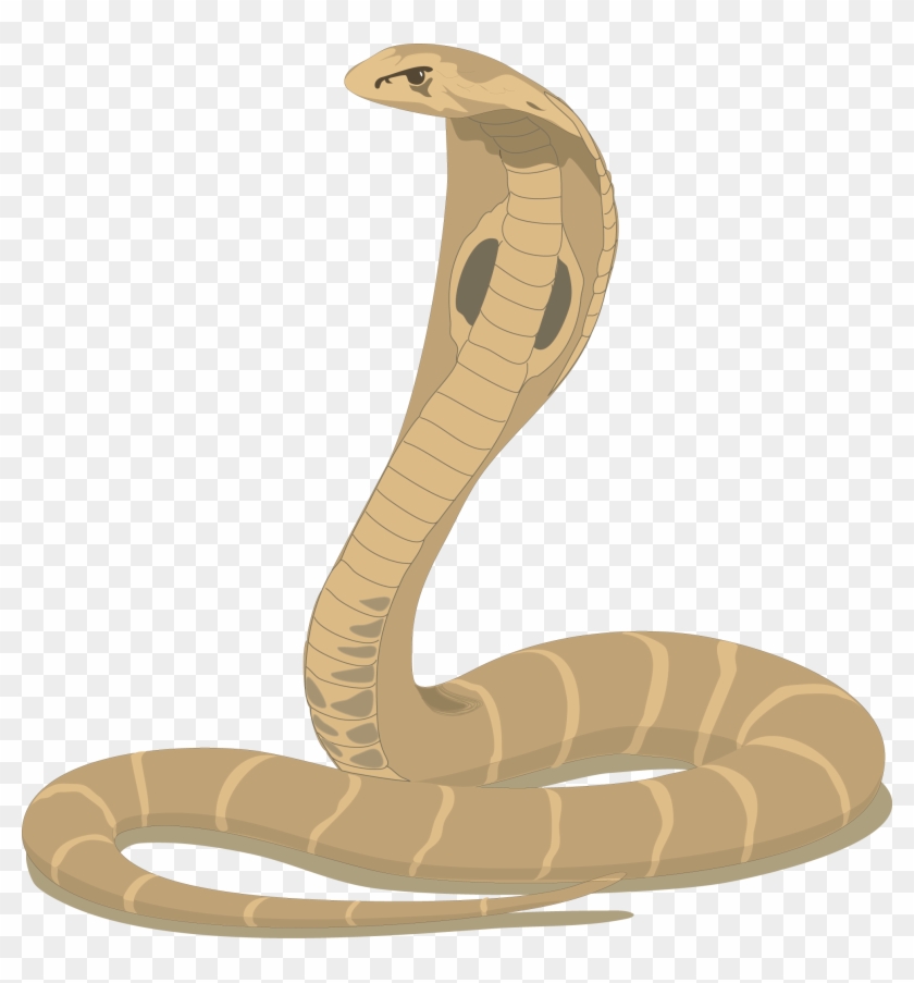 Rattlesnake Clipart Simple Snake - Wish Happy Nag Panchami, HD Png Download  - 1988x2043(#759441) - PngFind