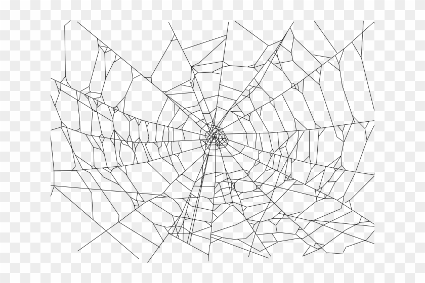 Tarantula Spider Drawing stock vector. Illustration of graphic - 266163121