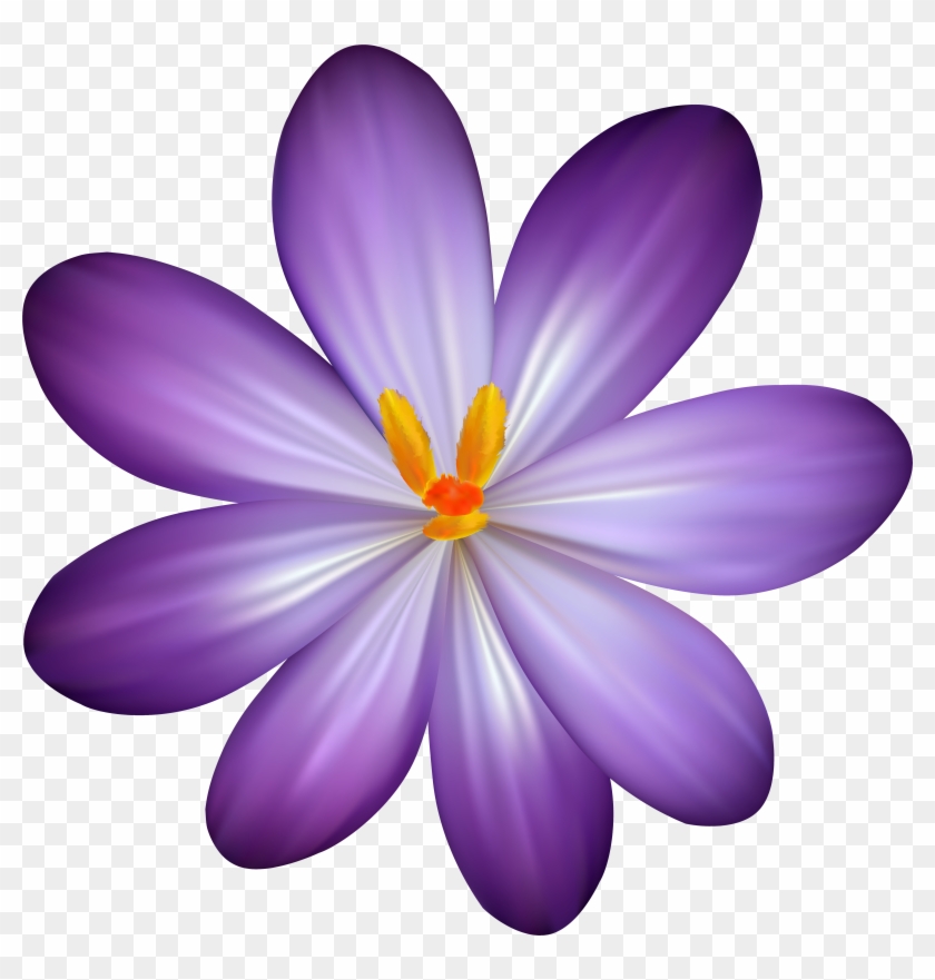 Purple Crocus Flower Png Clipart Image - Clip Art, Transparent Png