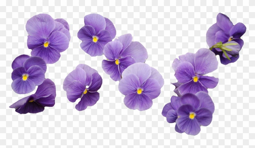 Free Free 234 Purple Flower Bouquet Svg SVG PNG EPS DXF File