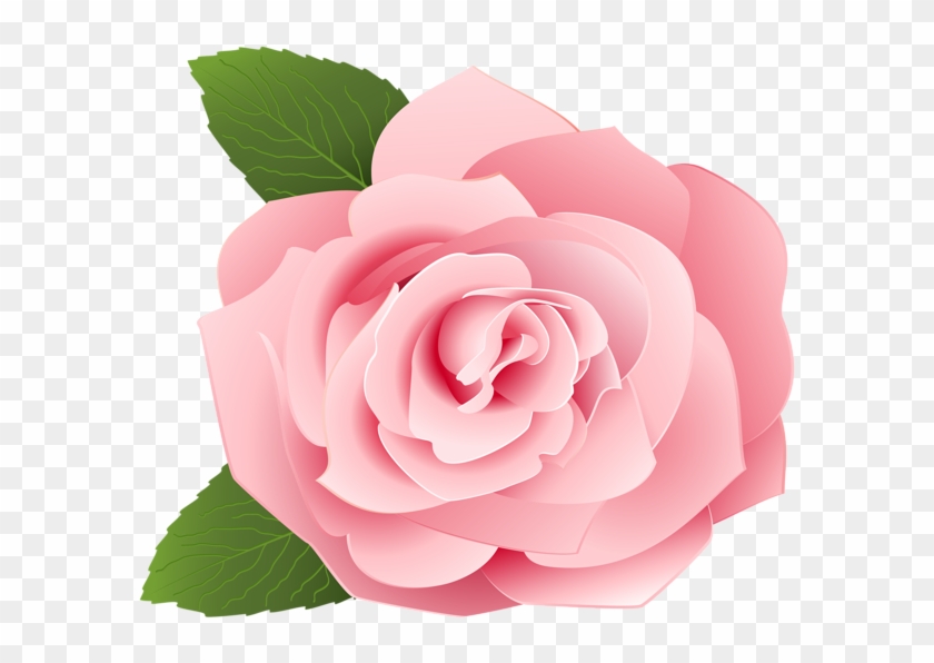 Rose Png - Rose Pink Flower Cartoon, Transparent Png - 600x523(#84829