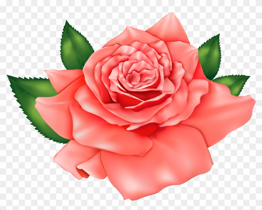 Flores Rosas Para Imprimir, HD Png Download - 1000x754(#85631) - PngFind