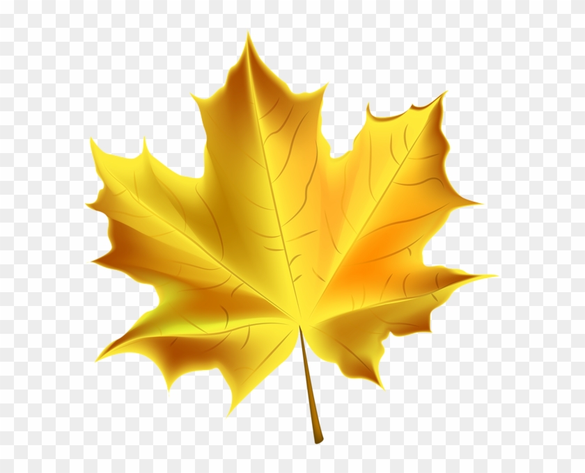 Fall Leaves Clipart Png