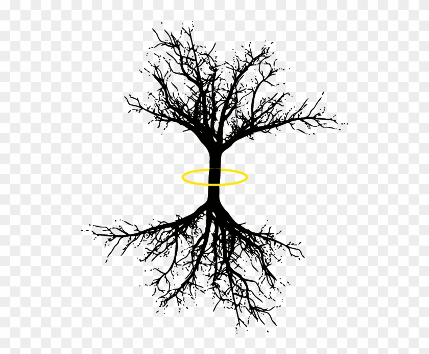 Download Free Svg Cut Files Drawings Of Dead Trees Hd Png Download 695x695 86068 Pngfind