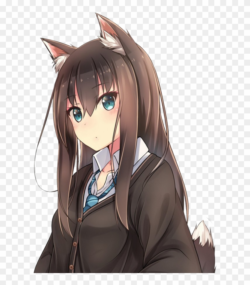 Wolf Cute Anime Girls , Png Download, Transparent Png - 618x875(#800867) -  PngFind