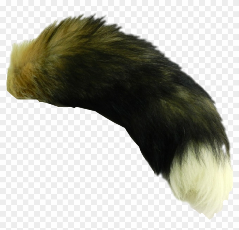 Fox Tails Png Download Transparent Png 3x816 Pngfind Fox Tails Png Download Transparent Png 3x816 Pngfind