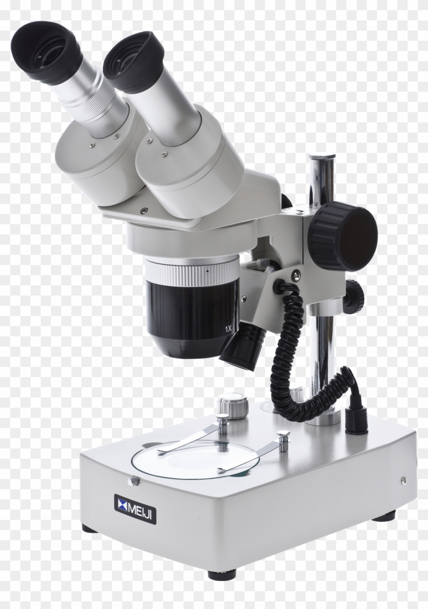 Objects - Imagen De Un Microscopio Electrónico, HD Png Download -  1500x1500(#818802) - PngFind