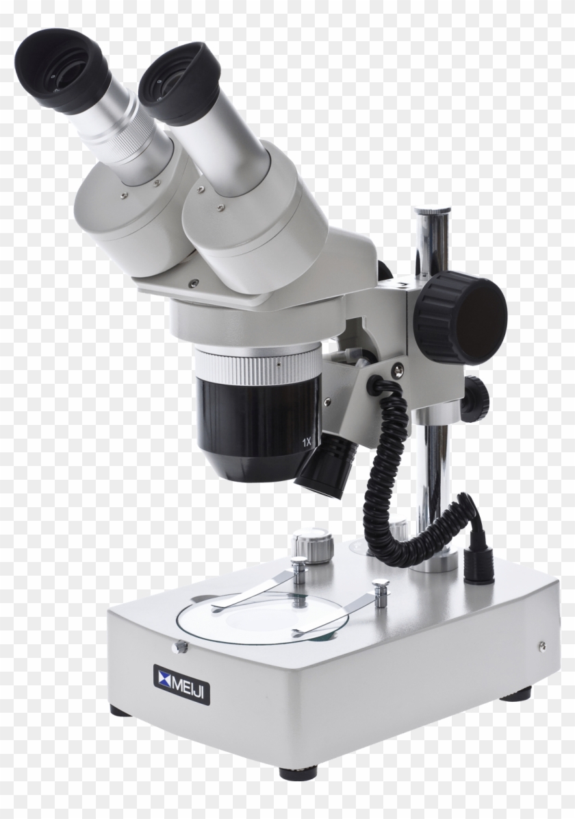 Objects - Imagen De Un Microscopio Electrónico, HD Png Download - 1500x1500(#818802) - PngFind Objects - Imagen De Un Microscopio Electrónico, HD Png Download - 1500x1500(#818802) - PngFind