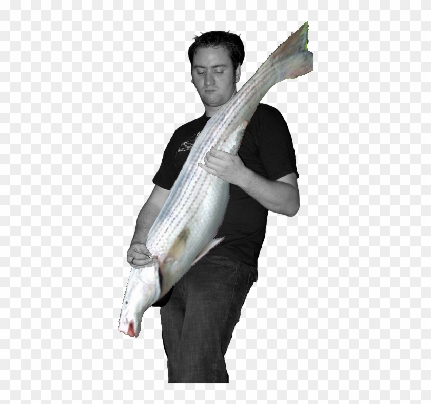 File Bassplayer Bass Fish Player, HD Png Download 506x720