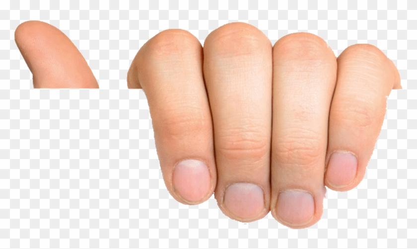 Clip Art Hand Holding Paper Png - Hand Holding Paper Png, Transparent Png -  1106x732(#841968) - PngFind