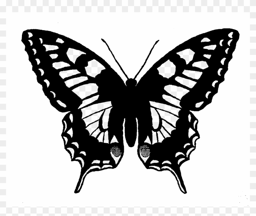 wallpapers Drawing Butterfly Skeleton skeleton with butterfly wings hd png