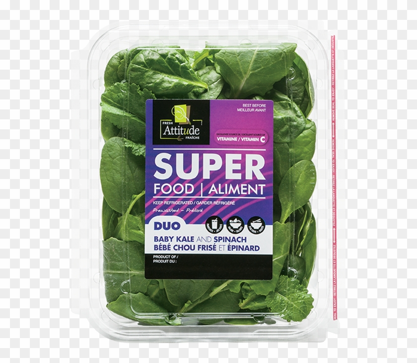 Spinach Hd Png Download 553x650 Pngfind Spinach Hd Png Download 553x650 Pngfind