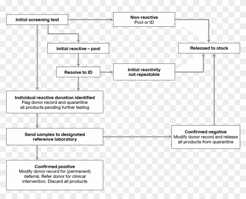 Blood Bank Testing Flow Chart