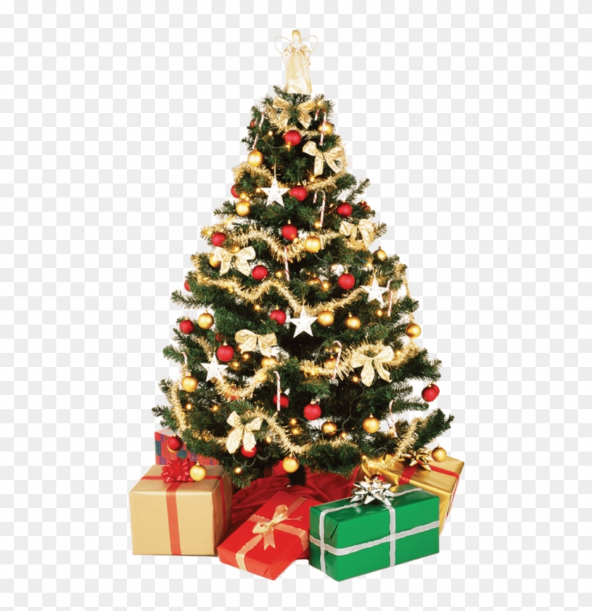 Christmas Tree Png Transparent : Christmas Tree Png Christmas Tree Blank Background Transparent Png Transparent Png Image Pngitem - When designing a new logo you can be inspired by the visual logos found here.