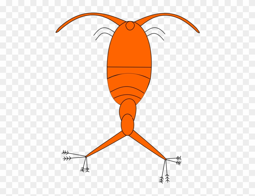 Featured image of post Clipart Plankton You can use these plankton clip arts for your website blog or share them on social networks