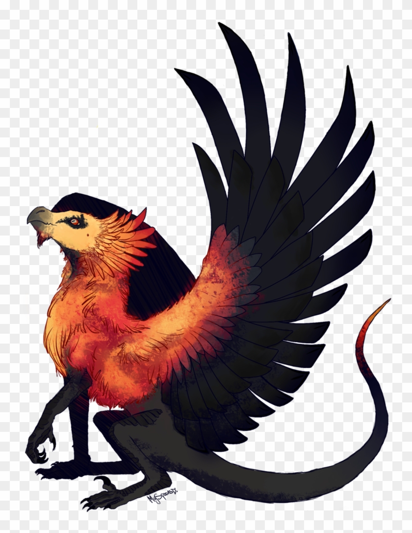 Vultures Drawing Wing Dragon Bird Bearded Vulture Hd Png Download 784x1018 888139 Pngfind,Types Of Ducks