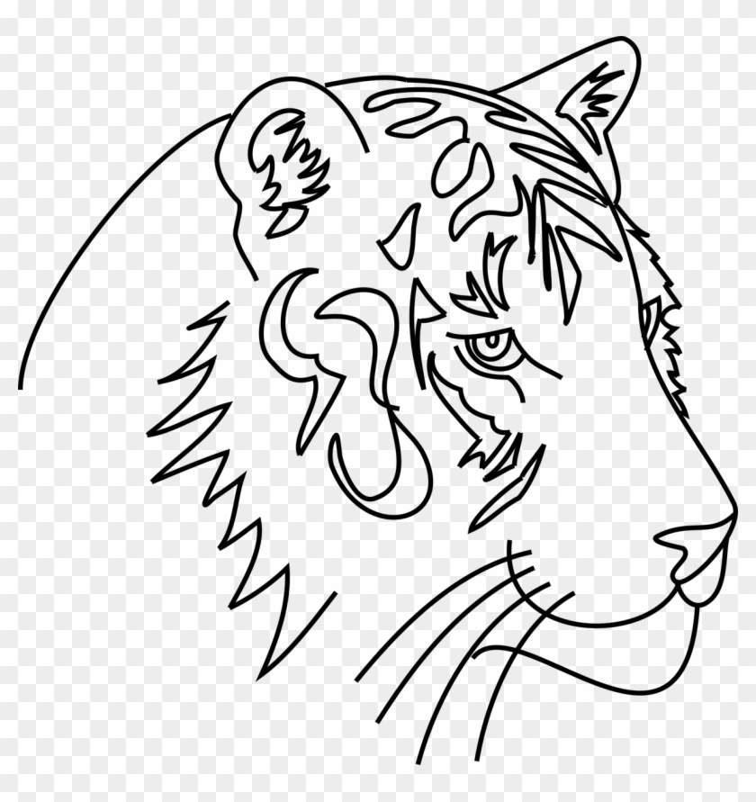 Tiger cat animal feral Gambar Ilustrasi Hewan Harimau Tiger cat animal feral Gambar Ilustrasi Hewan Harimau