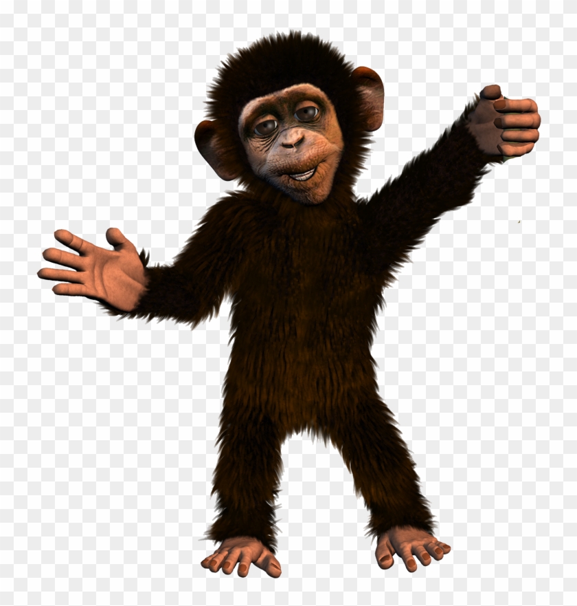 Monkey - Cartoon Chimp, HD Png Download - 800x800(#900791) - PngFind