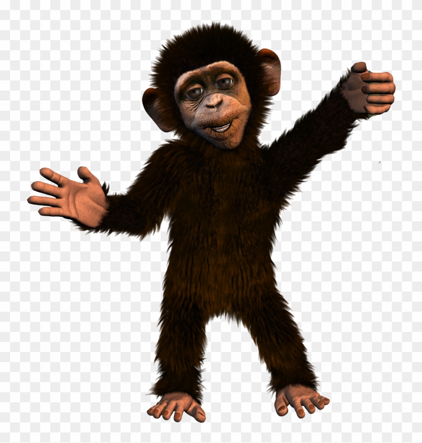 Monkey - Cartoon Chimp, HD Png Download - 800x800(#900791) - PngFind Monkey - Cartoon Chimp, HD Png Download - 800x800(#900791) - PngFind