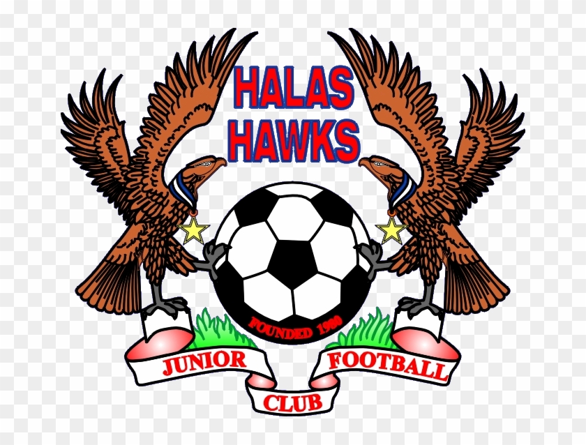 hawk football logo