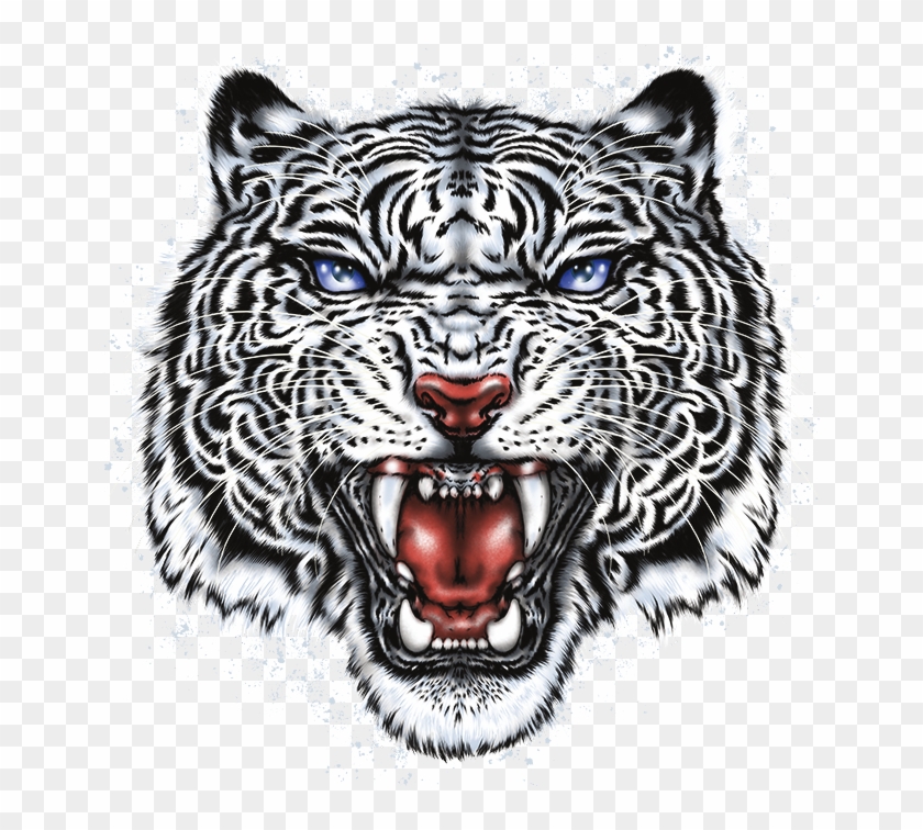 White Tiger Head - Roar, HD Png Download - 675x675(#941543) - PngFind