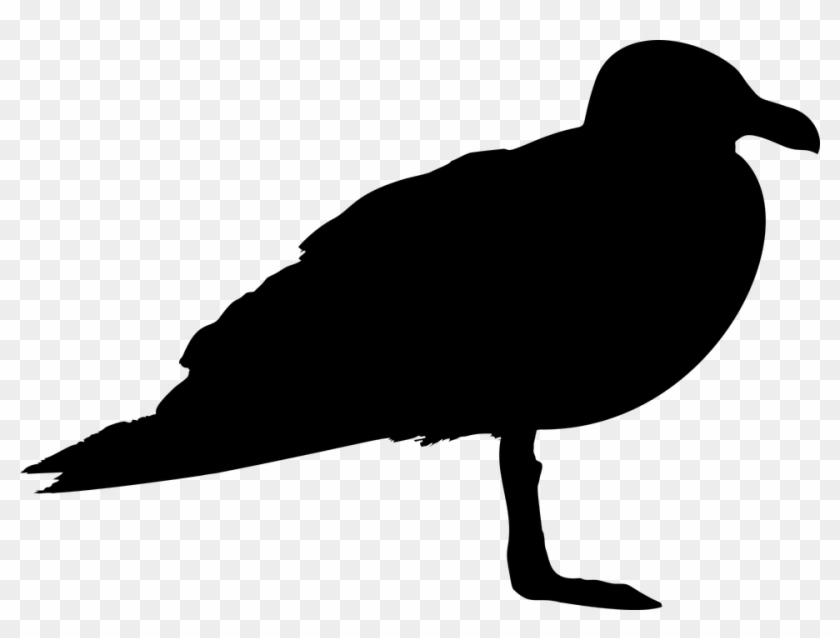 Medium Image Sea Gull Clip Art Hd Png Download 760x542