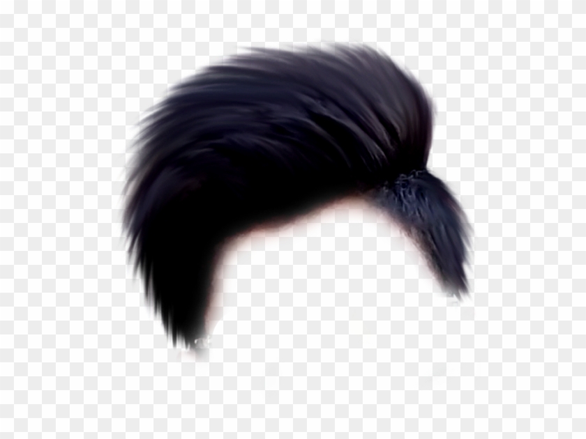 Hair Png - Editing Hair Png Hd, Transparent Png - 812x632(#957916) - PngFind