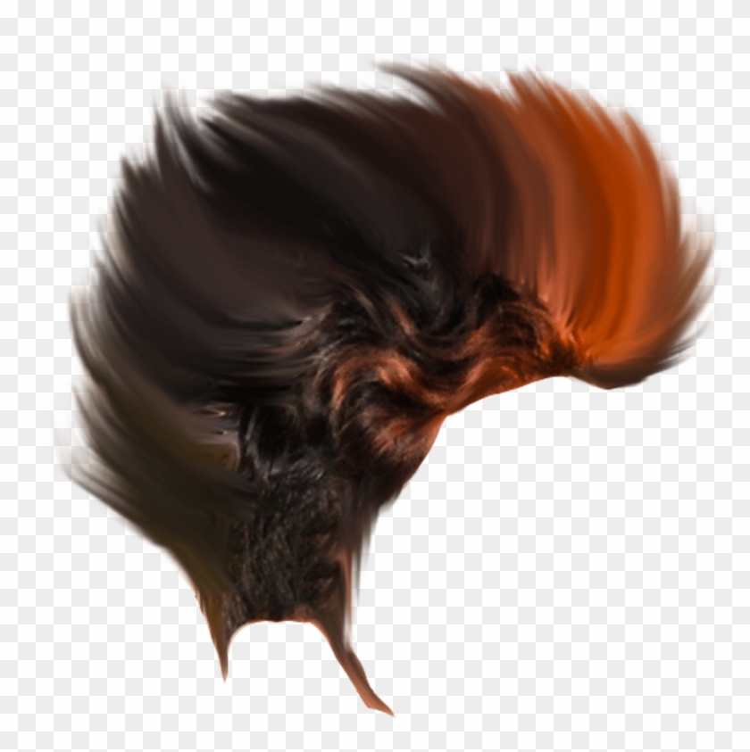 New Cb Edit Hair Png Cannonballhq - Bird, Transparent Png - 4256x3709(#957975) - PngFind New Cb Edit Hair Png Cannonballhq - Bird, Transparent Png - 4256x3709(#957975) - PngFind