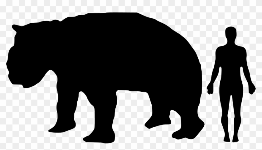 panda human size price