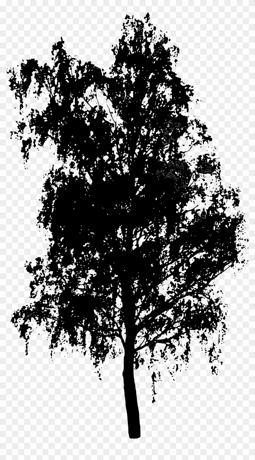 Tree Silhouette Transparent Background Mlp Parody Poster Hd Png Download 958x1349 967123 Pngfind