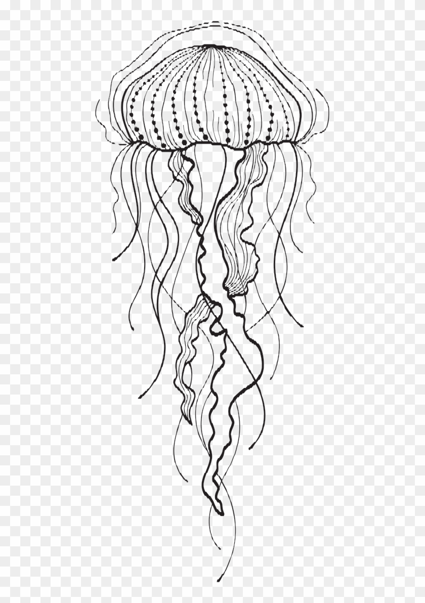 Png Transparent Download Jelly Fish Drawing At Getdrawings Jellyfish Drawing Black And White Png Download 465x1112 Pngfind