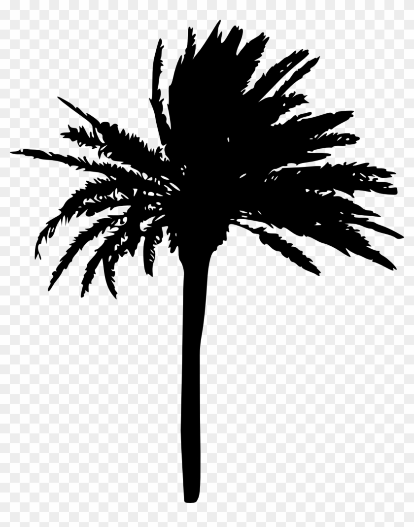 Free Download - Transparent Palm Tree Silhouette, HD Png Download ...