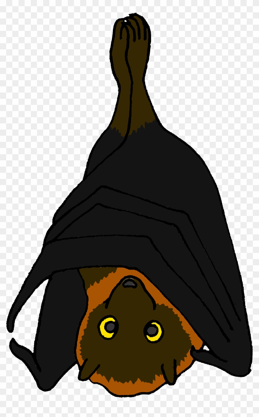 Cartoon Rodrigues Fruit Bat - Fruit Bats Cartoon, HD Png Download -  3000x3000(#993076) - PngFind