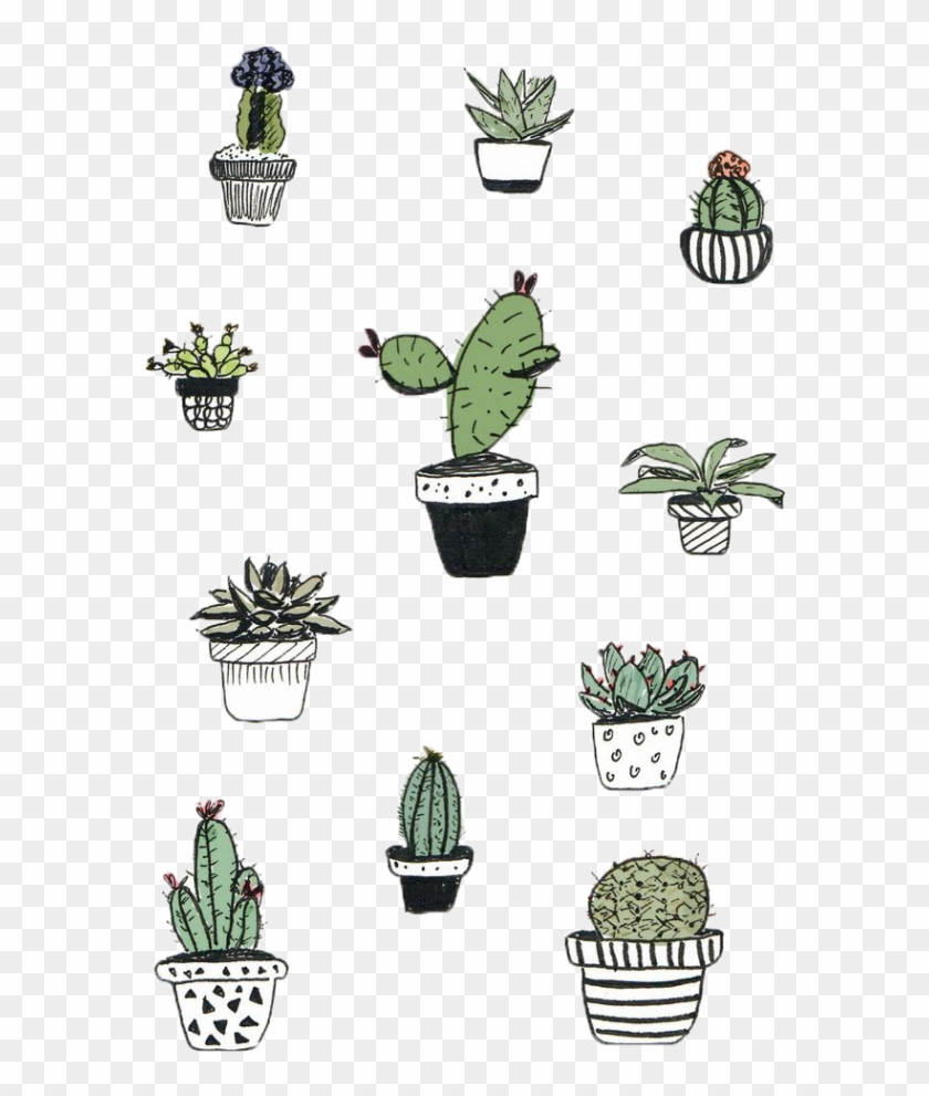 Cactaceae Euclidean Vector Clip Art - Desenho De Cactus Cute Png - Free  Transparent PNG Clipart Images Download